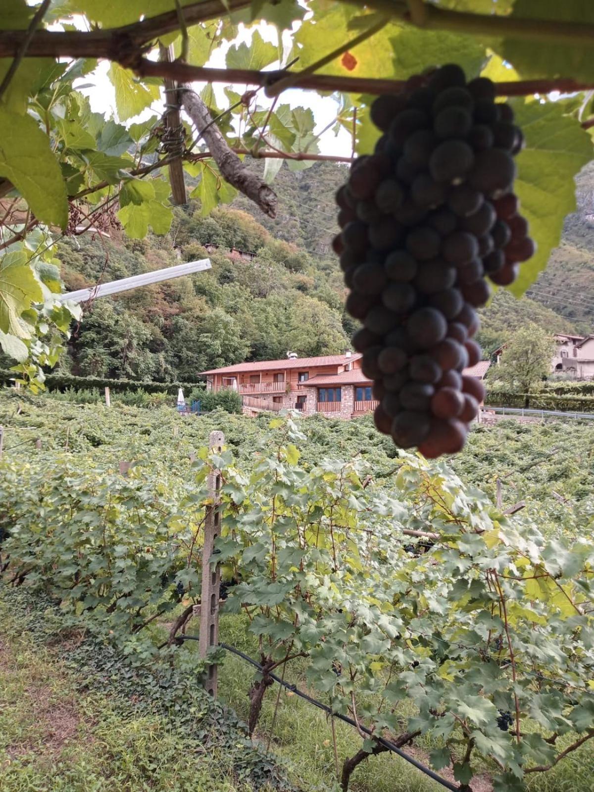 La Caigola Villa Ala Dış mekan fotoğraf